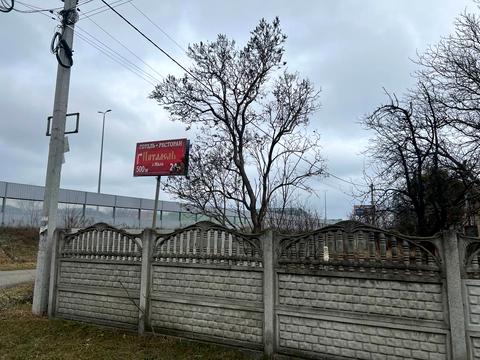 дом по адресу Комарова