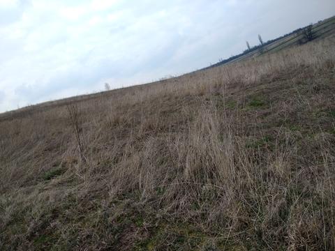 ділянка за адресою урочище Піддовге