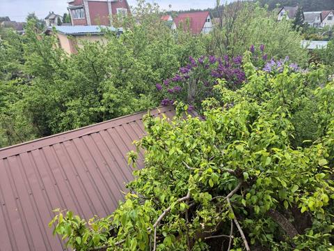 будинок за адресою Нижня
