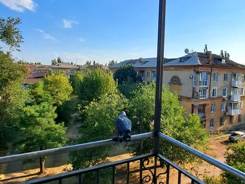 квартира за адресою Гагаріна, 31