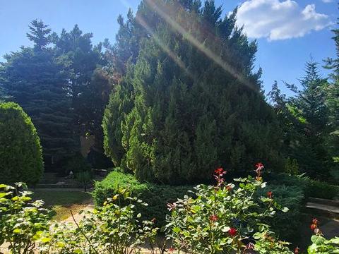 будинок за адресою Світанку вул., 5