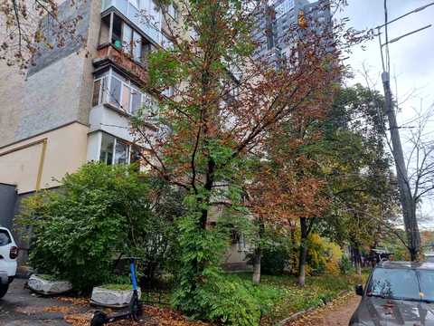 дом по адресу Ясеневый пер., 6 / 2