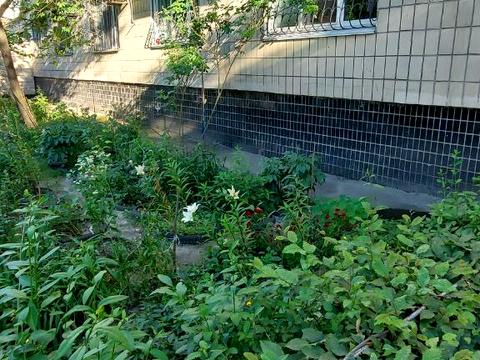квартира за адресою Олександра Архипенка вул. (Мате Залки), 12/3