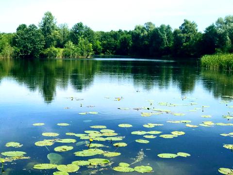 будинок за адресою Івана Кудрі вул.