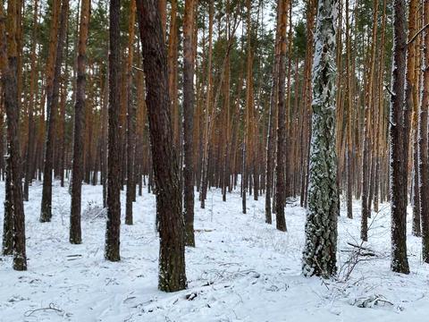 участок по адресу Шервудская ул.