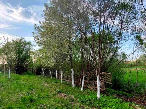 будинок за адресою Лесі Українки, 31