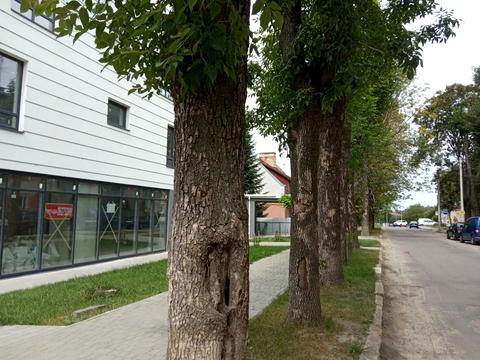 коммерческая по адресу Калнышевского ул., 13