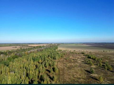 участок по адресу с. Ставище, 