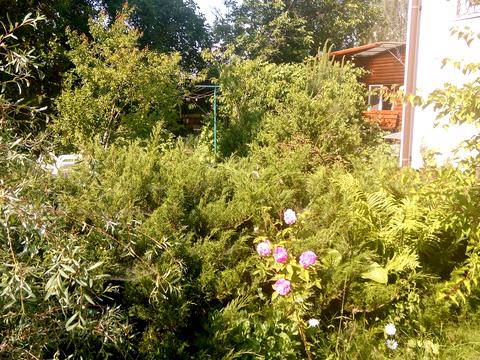 дом по адресу Рибальська