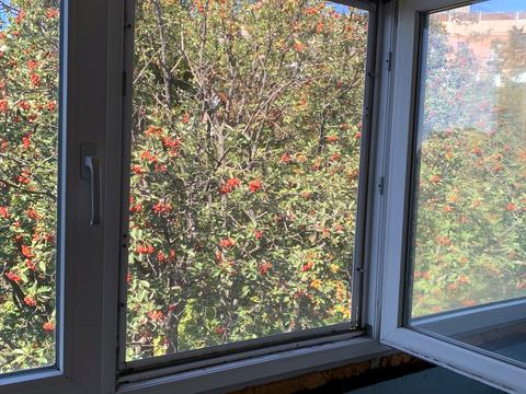 квартира по адресу Ньютона ул., 129в