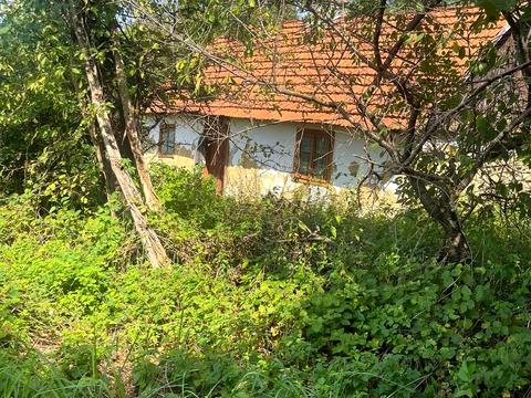 участок по адресу антоновича