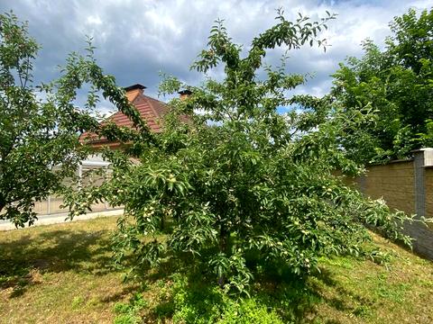 будинок за адресою Набережна, 12