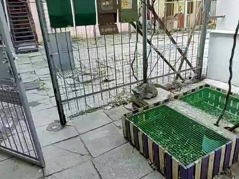 квартира по адресу Адмирала Лазарева ул., 60
