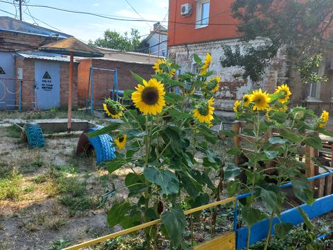 квартира за адресою Шульгіних вул., 32
