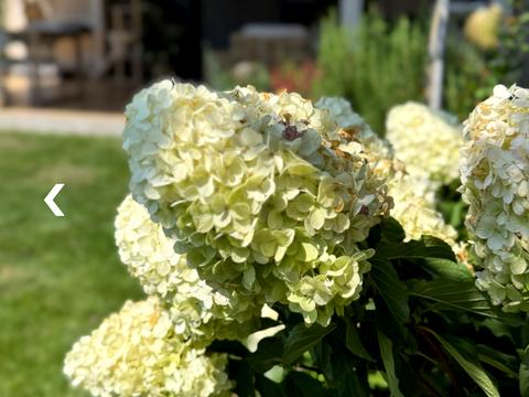 будинок за адресою Сторожниця