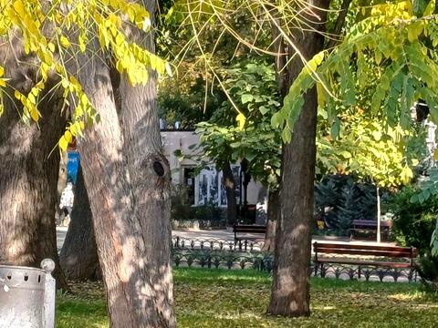 квартира за адресою Одеса, Святослава Караванського вул. (Жуковського), 40