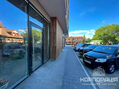 коммерческая по адресу Заньковецкой ул., 33