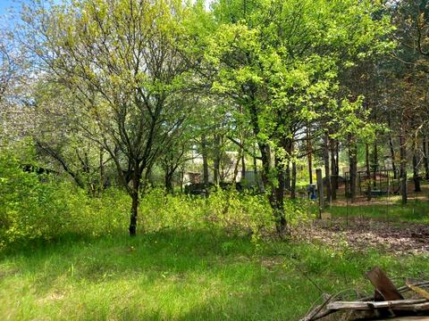 дом по адресу Лесі Українки