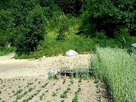 будинок за адресою Суворова вул.