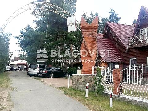 комерційна за адресою Боровкова вул., 10