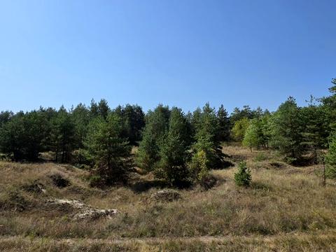 ділянка за адресою смт. Царичанка, 