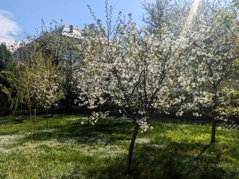 будинок за адресою Гамалії вул.