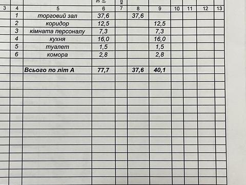комерційна за адресою Володимира Великого вул., 14