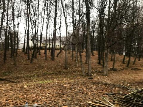 ділянка за адресою Красилів, 