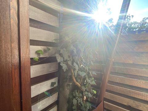 будинок за адресою Лисенка вул.