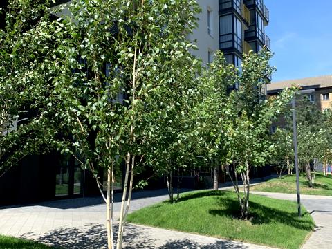 квартира по адресу Ісмаїла Гаспринського ул. (Сормовська), 3