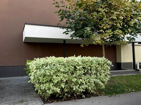коммерческая по адресу Берёзовая ул., 46