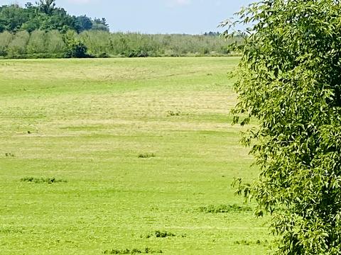 участок по адресу Балістична