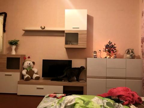 квартира за адресою Оноре де Бальзака вул., 63
