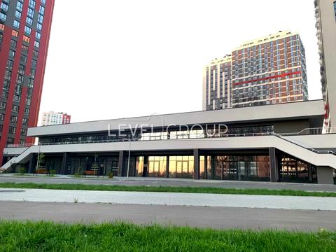 комерційна за адресою Олександра Олеся вул., 8а