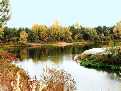 ділянка за адресою ГЭс