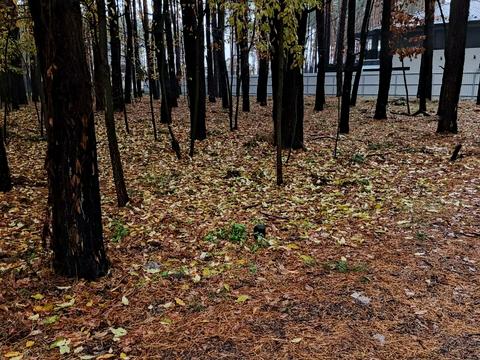 ділянка за адресою Лісовий пров.