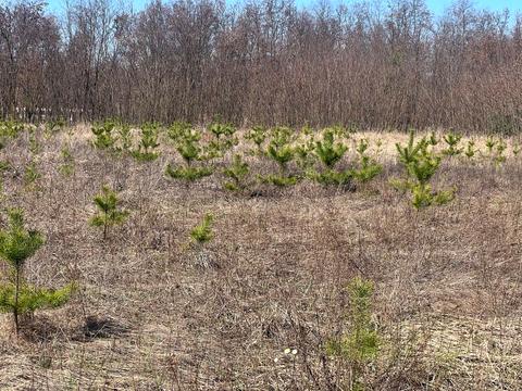 участок по адресу 