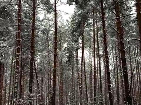 ділянка за адресою с. Проців, Савонівська вул.