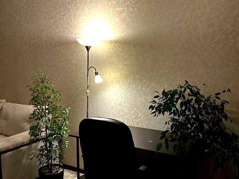 квартира по адресу Воздухофлотский просп. (Повітрофлотський), 25