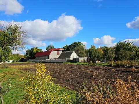 будинок за адресою с. Плужники, Червоноармійська