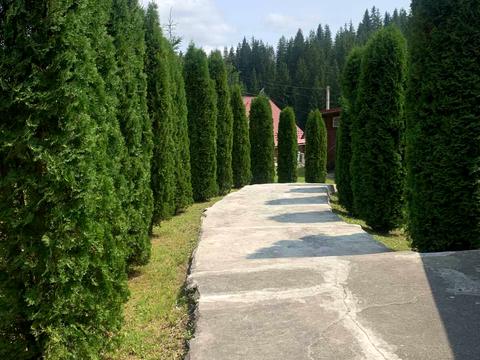 комерційна за адресою Героїв Майдану, 1