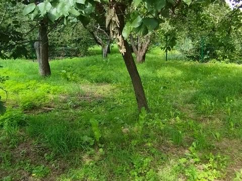 будинок за адресою Буча, Південна, 2