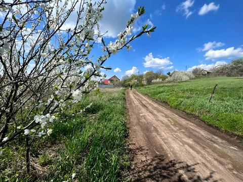 ділянка за адресою Долинна, 44/1