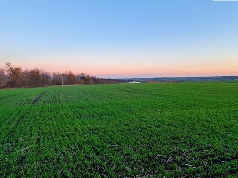 ділянка за адресою 