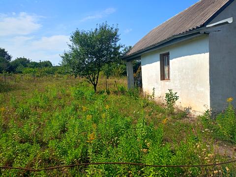 ділянка за адресою с. Лісові Гринівці, Видрові доли, 13