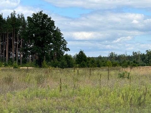 участок по адресу 