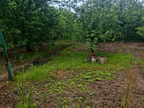 дом по адресу Уютная