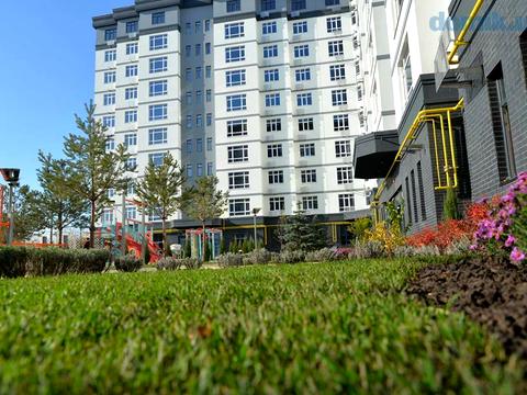 квартира по адресу Старокняжицкая ул. (Льва Толстого), 1