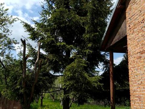 будинок за адресою Михайла Грушевського вул.