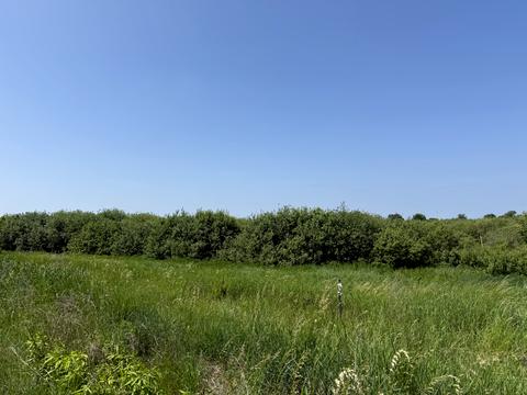 ділянка за адресою Зелена